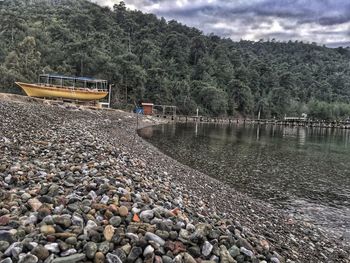 Scenic view of trees against sky
