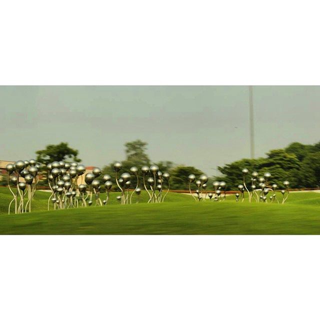 grass, green color, field, grassy, transfer print, clear sky, auto post production filter, copy space, animal themes, nature, outdoors, tree, park - man made space, day, growth, no people, tranquility, lawn, sky