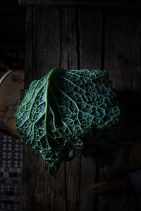 Close-up of cabbage on table