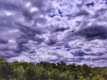 Low angle view of birds flying in sky