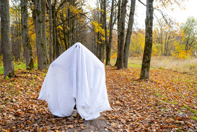 Rear view of woman standing in forest