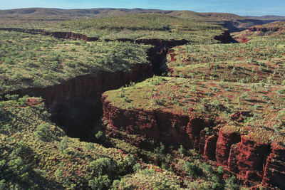 High angle view of trees on landscape