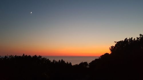 Silhouette trees against sky during sunset