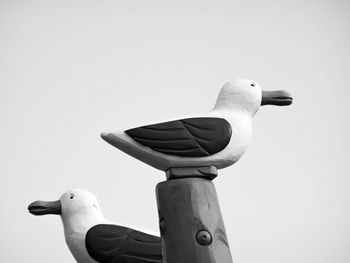 Seagull perching on wooden post against sky