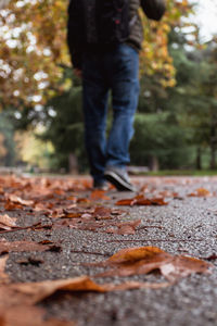Low section of person standing on leaves during autumn