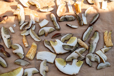 Full frame shot of seashells