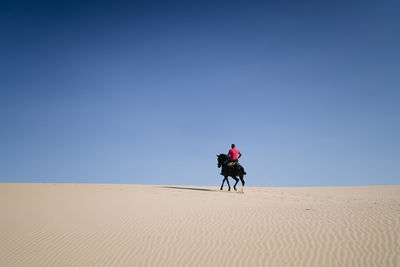 Male in red t shirt riding black horse on dry sand against cloudless blue sky on sunny day in desert