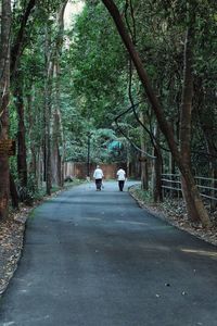 Rear view of people walking on road amidst trees