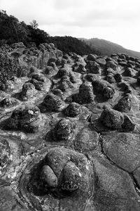 Rocks on land against sky