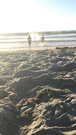 Silhouette dog on beach against clear sky