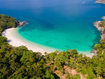 High angle view of sea and trees