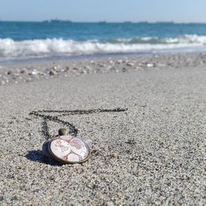 Close-up of snail on beach