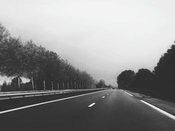 Road markings on road with trees on both the side