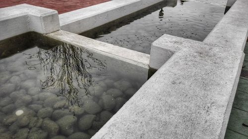 Reflection of water in puddle