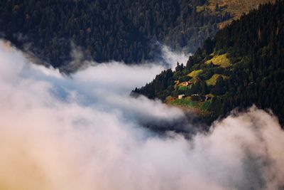 Scenic view of waterfall in forest against sky