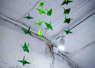 Low angle view of plant against wall
