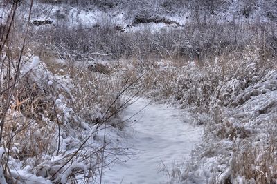 Frozen river in winter