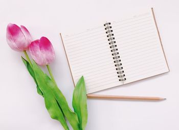 High angle view of pink flowers on white table