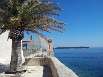 Palm trees by sea against clear blue sky