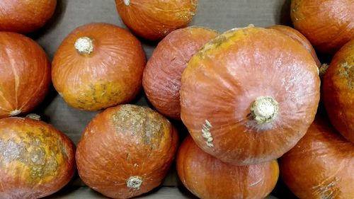 Close-up of fruits