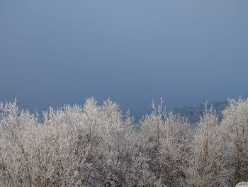 Low angle view of snow covered land against clear blue sky