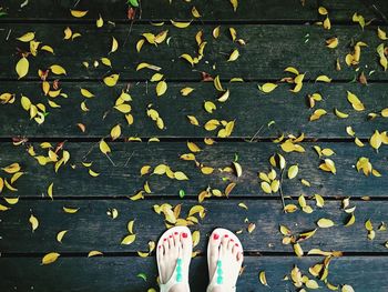 Low section of person standing on autumn leaves