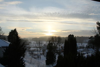 Bare trees against sky during winter