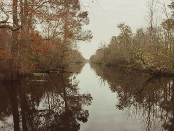 Scenic view of lake in forest during autumn