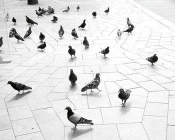 High angle view of people walking on tiled floor