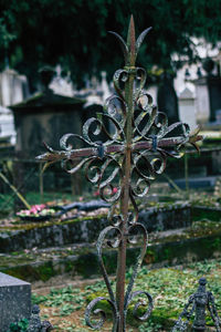 Close-up of cross on plant at cemetery