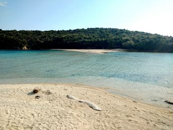 Scenic view of beach against clear sky