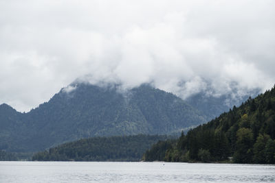 mountain