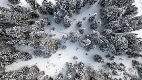 Full frame shot of snow