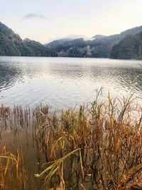 Scenic view of lake against sky