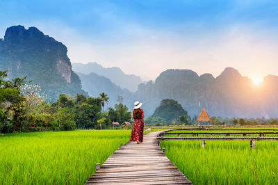 Scenic view of agricultural field against sky