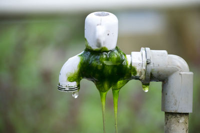 Close-up of water drop on faucet