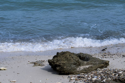High angle view of rocks on beach