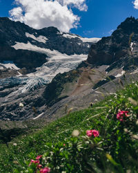mountain