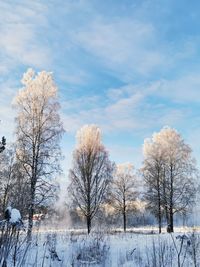 Bare tree on snow covered field against sky