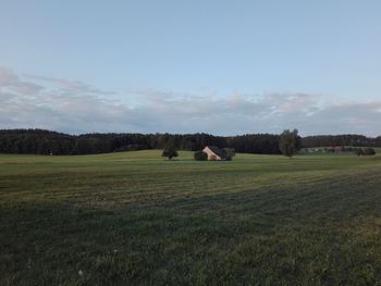 Scenic view of field against sky