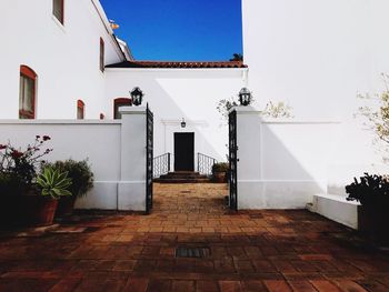 Potted plants and white building against sky