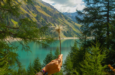 Scenic view of lake in forest