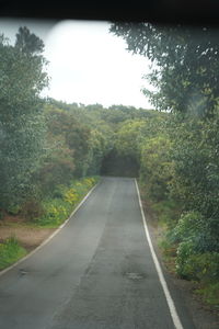 Empty road amidst trees against sky