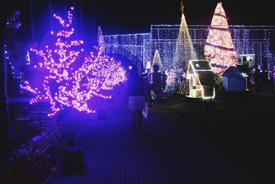 Illuminated christmas tree at night