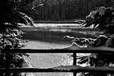 Scenic view of lake against trees