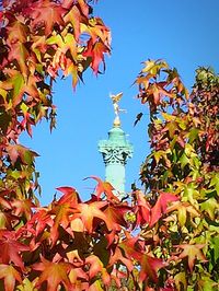 Low angle view of leaves against clear blue sky