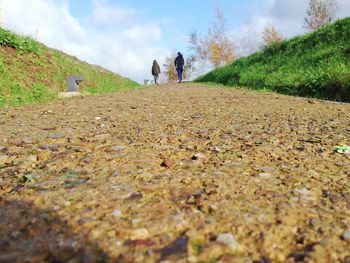 Rear view of people walking on field against sky