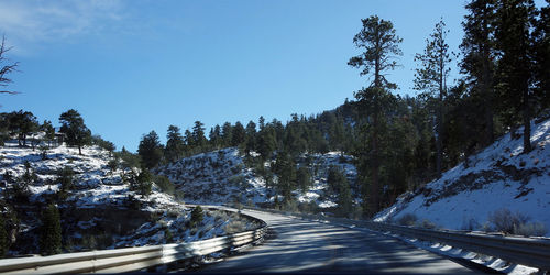 Road amidst trees against clear sky during winter