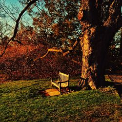 Chairs on grass