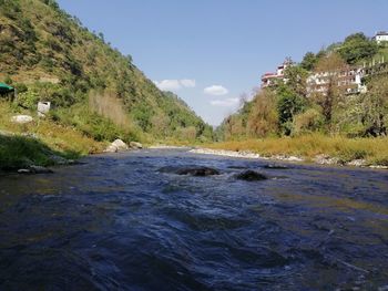 Scenic view of river amidst trees against sky